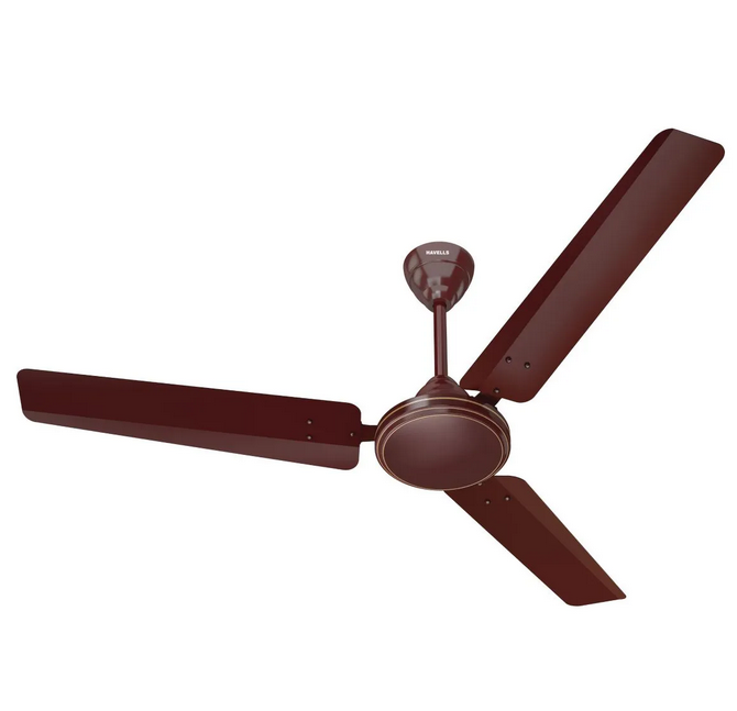 Thrill Regular Ceiling Fan