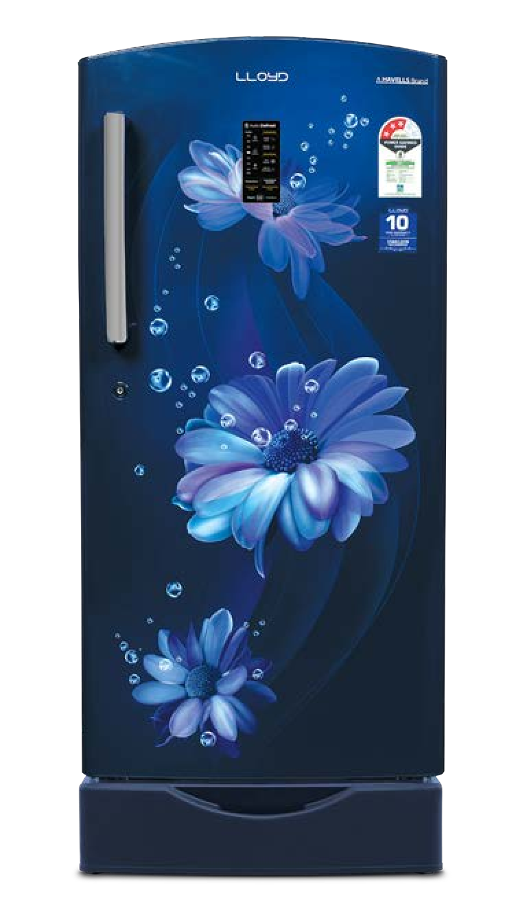 Frost Free Refrigerator Color: Daisy Blue Star Rating: 2 StarGLFF292ADBC1GC – 260 L Convertible