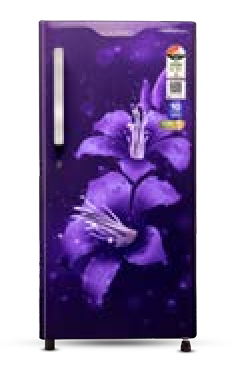 Direct Cool Refrigerator Color: Lilly Purple Star Rating: 3 Star GLDC203SLPT2LC – 188 L